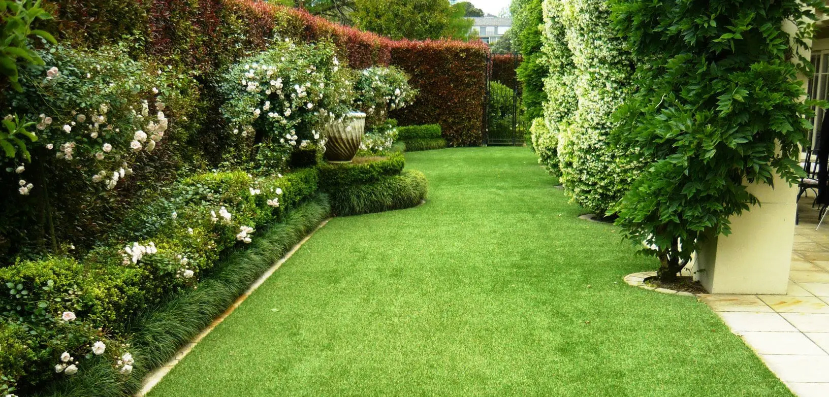 Grass 9