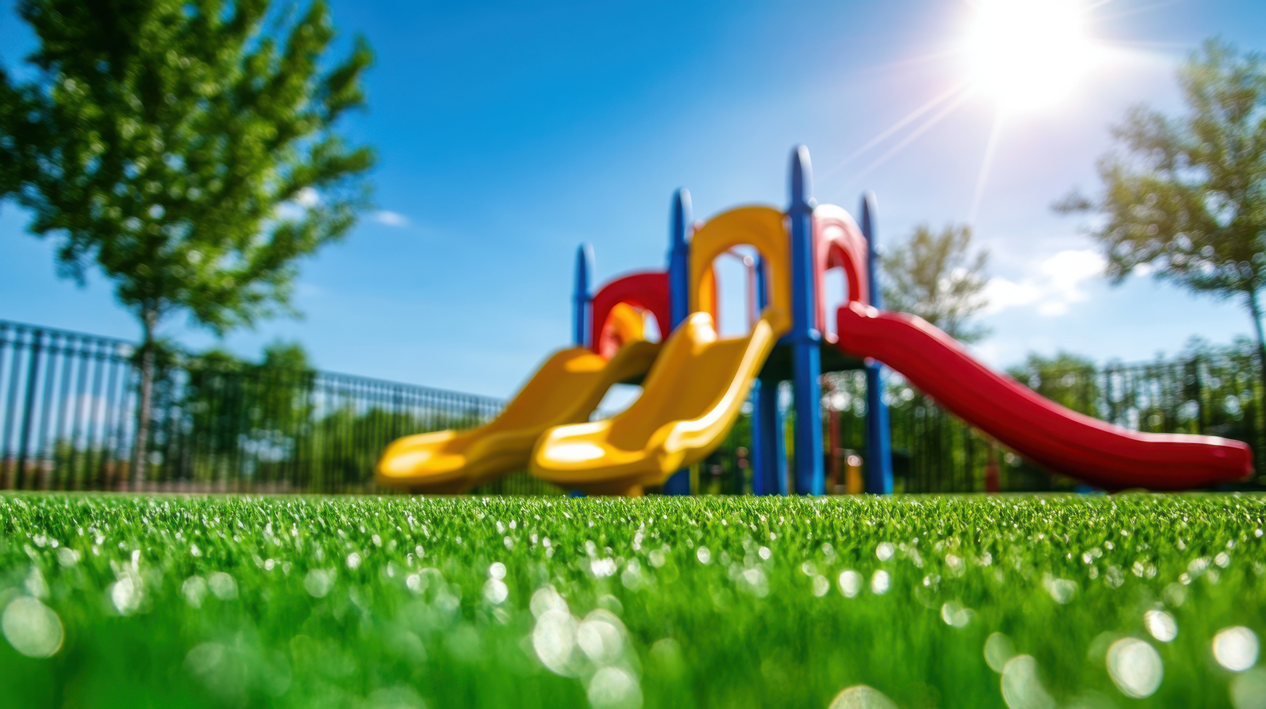 Grass Slider Image
