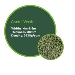 Ascot Verde 38mm
